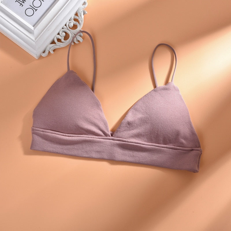 46442922836263|46442922869031|46442922901799