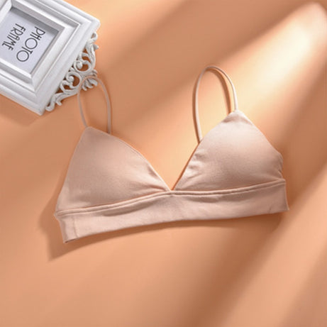 46442922639655|46442922672423|46442922705191