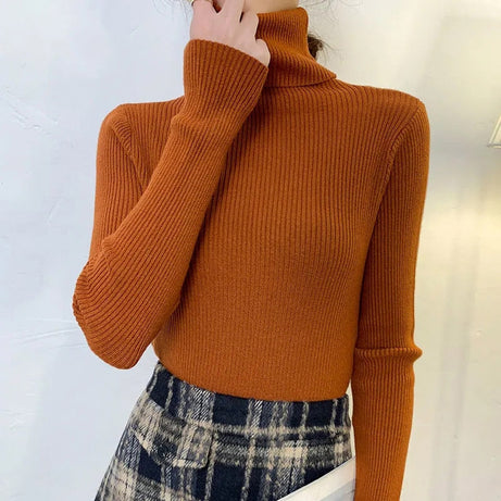 New Pullover Women Turtleneck Sweater Autumn Long 2023 - Premium  from vistoi shop - Just $29.99! Shop now at vistoi shop